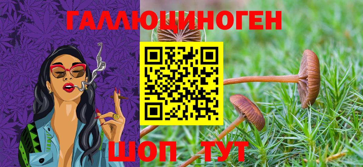 Великие Луки  Галлюциногенные грибы MAGIC MUSHROOMS  Вход с VPN 