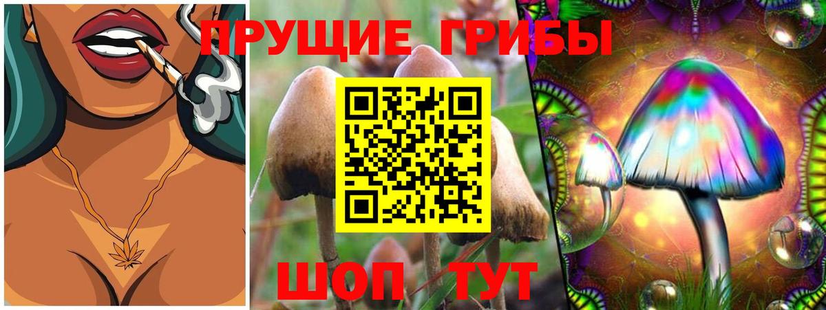 Псилоцибиновые грибы GOLDEN TEACHER Великие Луки